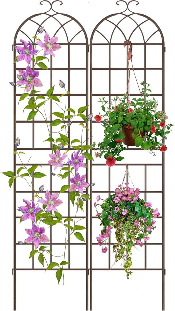 LZRS 2 Pack 83x20in Rustic Iron Arch Decoration Garden Trellis with Metal Coating Perfect for Supporting Climbing Plants Outdoor, Roses, Vines, Flowers, and Vegetables, Brown
