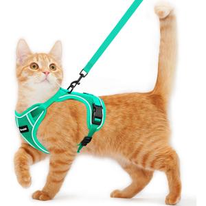 Cat Harness and Leash for Walking Escape Proof Soft Adjustable Cat Leash Breathable Comfortable Vest Easy to Wear Kitten Harness for Outdoor Travel (Emerald, M (13-18lb))