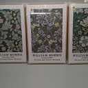 Large Framed William Morris Vintage Green Wall Art for Living Room, 3 Piece
Fine art, Canvas, Botanical, 24x36 in, Aesthetic, Floral, Waterproof, Easy to hang, Bedroom, Office, Hallway, Wall decor
