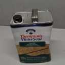 Thompson's WaterSeal Clear Wood Sealer, Clear, 1 Gallon