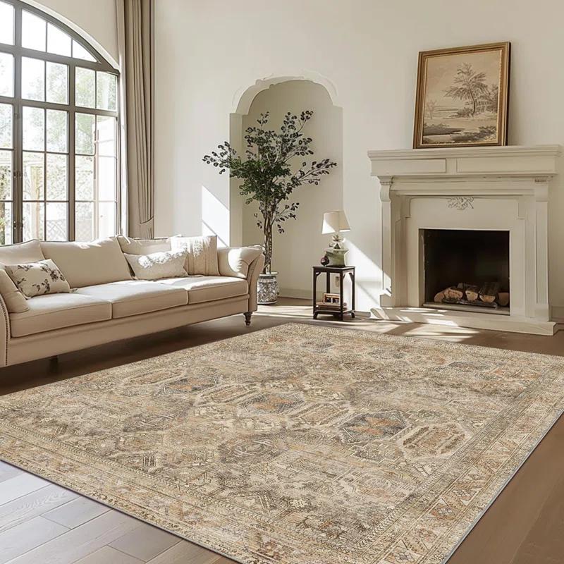 8x10 Area Rug Machine Washable Vintage Distressed Chenille Low Pile Non-Slip Accent Rug for Living Room