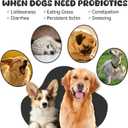 Probiotics for Dogs, Boosts Immune System, Improves Digestion, Supports Gut Health, Relieves and Prevents Diarrhea and Soft Stools, Chicken Flavor Soft Chews - 30 Tablets (120g)