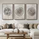 Large Framed Gray Tree Rings Wall Art for Living Room, 3 Piece Neutral Nature Tree Stump Canvas Artwork for walls, Wabi Sabi Wood Grain Prints Paintings for Bedroom Hallway Wall Decor, 24x36 Inchs