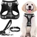 PUPTECK Adjustable Dog Harness Collar and Leash Set Step in No Pull Pet Harness for Small Medium Dogs Puppy and Cats Outdoor Walking Running, Soft Mesh Padded Reflective Vest Harnesses, Black S (S (CHEST 14.5"-16"))