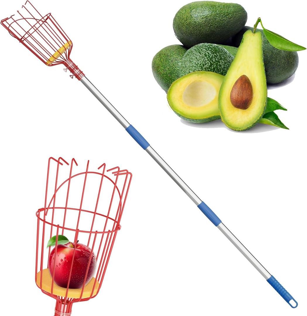 Fruit Picker, 8 ft Long Fruit Picker Pole with Basket Telescoping, Apple Fruit Tree Picker with Pole Extendable, Fruit Grabber & Cather with Stainless Steel Pole for Mango, Orange, Fig, Lemon