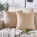 Phantoscope Pack of 2 Velvet Decorative Throw Decorative Pillow Cover Soft Solid Square Cushion Case for Couch Beige 20 x 20 inches 50 x 50 cm