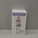 Mini Human Skeleton Model, 17.7 Small Skeleton Anatomy Model W/Movable Arms, Legs and Stand for Student Kid to Study Human Skeletal System Anatomy, Physiology Decor Halloween Manual Included