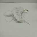 26x14 inch Angel Feather Wing Halo and Wand Costume Set for Girls Cosplay Kids Women Halloween Party Favor (White)