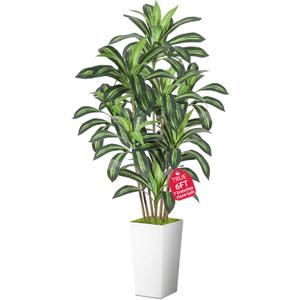 Realistic Artificial Indoor Plant Tree - Tall Fake Dracaena Potted Plant for Home Office Decor, Living Room & Bedroom - Lifelike Faux Plant Tree with Pot-Palm(White, 6FT)