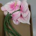 PATIKIL 13" Artificial Anthurium Lily Flowers, 10 Pack Permanent Flower Floral Arrangements Bouquet for Home Decor Bridal Wedding Festival Party, Light Pink