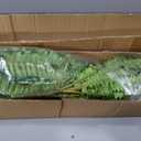 Dkaltm Artificial Boston Fern Bush- Set of 2 Large Artificial Ferns for Outdoors, 45Inch Large Faux Ferns, Suitable for Office & Living Room Decor, 55Branches for Each Bouquet