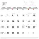 The Mandalorian and Child 2025 Wall Calendar (Star Wars)