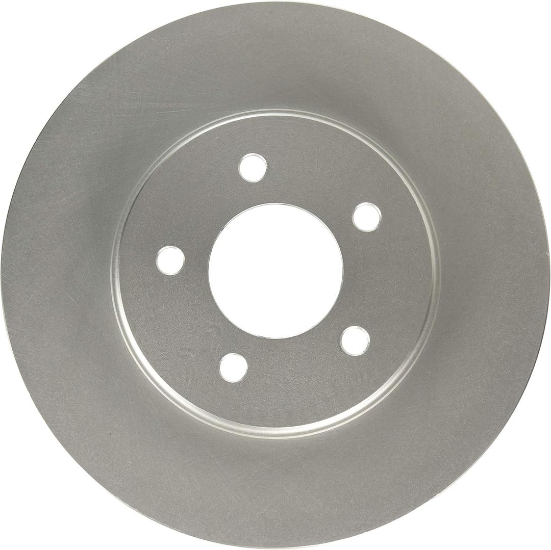 Raybestos 980290FZN Rust Prevention Technology Coated Rotor Brake Rotor, 1 Pack