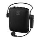 WB002 Voice Amplifier