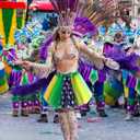 Chicingyou 12 Pcs Mardi Gras Tutus Bulk Multicolor Tutu Skirt Green Yellow Purple Mardi Gras Accessories for Women