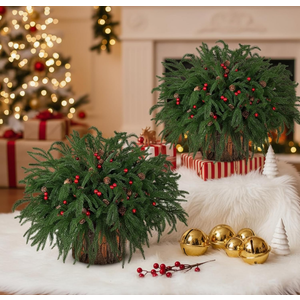 Suncalla 48 Pcs Christmas Artificial Norfolk Pine Stems Branches Christmas Norfolk Pine Branches Red Berries Stems Pinecones Greenery Foliage Picks 2 Bark Stumps for DIY Xmas Tree Table Decor