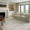 Loloi Kamala Collection KAM-05 Grey/Multi 5'-3" x 7'-9" Area Rug