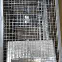 2Pack Humane Rat Traps, Live Mouse Rat Cage Traps Catch and Release for Indoor Outdoor, Small Animals Traps, Easy to use,(10.6"x 5.5"x 4.5")