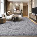 EVOIONOS 5x7 Washable Large Area Rug for Living Room, Fluffy Shag Rug for Bedroom, Ultra Soft Plush Non Slip Carpet for Indoor Floor Bedside Nursery Kids Girls Room Dorm, Home Decor Aesthetic, Grey