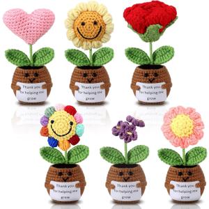 6 Pcs Valentines Gifts for Teachers Appreciation Gifts Thank You for Helping Me Grow Gift Crochet Flower Plants Doll with Card Positive Thank You Crochet for Women Teacher Birthday