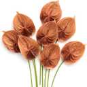 Ling's Moment Artificial Anthurium Flowers, 8pcs Terracotta Faux Greenery Stems, Burnt Orange Silk Filler Plants for DIY Wedding Bouquets Centerpieces Arrangements Bridal Shower Party Home Decorations