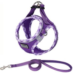 Mercano Soft Mesh Dog Harness and Leash Set, No-Chock Step-in Reflective Breathable Lightweight Easy Walk Vest Harnesses with Safety Buckle for Small Dogs, Cats (M, Purple)