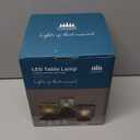 LUSHARBOR Battery Operated Lamp, Cordless Table Lamps for Home Decor, Battery Powered Nightlight with LED Bulb, Decorative Glass Beside Lamp for Bedroom Living Room-Grey (Gray)