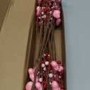 J'FLORU Valentine's Day Gifts Valentines Day Decorations 24 Pack Pink Heart Shaped Berry Picks with Red Berries for Valentines Day Wedding Candlelight Dinner Anniversary