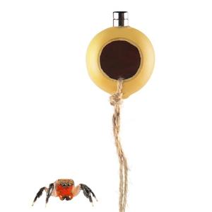 NANEEZOO Spider Hide Magnetic Jumping Spider Habitat Made of Natural Gourd, Handmade Insect Hideout Enclosure Accessories, Cute Decoration for Terrarium Cage, Yellow, 2 Pack