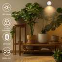 1 Pack Wireless LED Spotlight Indoor with Remote, Rechargeable Up Lights Indoor with Timer& Dimmable, Battery Operated SpotLights Accent Uplighting for Plant, Wall, Artwork, White