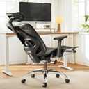 Ergonomic Office Chair, Comfort Mesh with Adjustable Lumbar Support, SGS Class 4 Gas Cylinder Certification Upgraded Black (Pro(adjustable Lumbar Support))