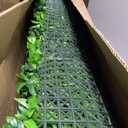 Grooy Artificial Boxwood Grass Wall Roll Panels 38''