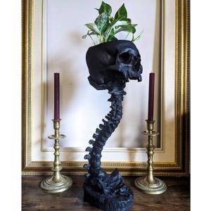 Skull Planter & Spine Stand, Resin Skeleton Flower Pot, Gothic Spooky Halloween Home Decor, Horror Skull Decor, Candy Bowl, Halloween Decorations for Home Office Indoor Outdoor Decor (Black)