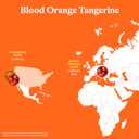 Spindrift Sparkling Water, Blood Orange Tangerine Flavored, Made with Real Squeezed Fruit, 12 Fl Oz Cans, Pack of 24 (Only 12 Calories per Can)