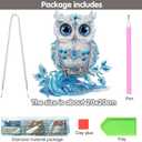 Diymood DIY Hanging Diamond Art Kits for Adults Owl, Diamond Painting Kit Pendant Special Shaped Double Sided Acrylic Sun Catcher Board Wreath Pendants Canvas Window Wall Decor 8 x 8 Inch (Colorful-1)