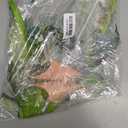 Fairy Wings for Adults, Fairy Costume Set with Elf Ears and Fairy Flower Arm Wrap for Party, Cosplay, 27"x29.5"