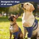 Dog Knee Brace, Breathable Dogs Leg Sleeve to Stop Licking, Adjustable Elbow Pads for Dogs Front Back Leg, Dog Elbow Protector for Post-Surgery Recovery Elbow Injuries, Large, Navy