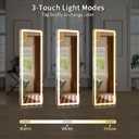 Koonmi Full Length Mirror Door Hanging with LED Lights 48"x16"