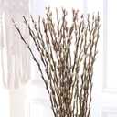 Dried Pussy Willow Branches for Vase, 30 Natural Stems