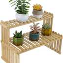 MyGift Natural Bamboo Indoor Plant Stand for Desk, 2 Tier Desktop Shelf Organizer Rack with 2 Slatted Shelves (SandyBrown)