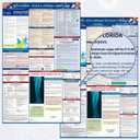 PUNCHMAN 2pcs 2026 Florida State & Federal Workplace Labor Poster - Bilingual English/Spanish 2 Version Guidelines Posting for Workplace, Durable Laminated, Includes 2026 Minimum Wage Info