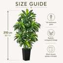 7FT Artificial Dracaena Tree - High-Density Foliage Fake Plant with Black Tall Planter - Faux Yucca Floor Plant for Home Office Decor Indoor