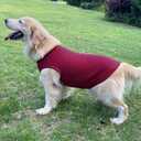Dog Shirts Cotton Striped T-Shirts, Breathable Basic Vest for Puppy and Cat, Super Soft Stretchable Doggy Tee Tank Top Sleeveless, Fashion & Cute Color for Boys and Girls (XXL, Black+Red)