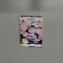 5 x Seeds Morning Glory Harlequin Mix Ipomoea Annual Flowers