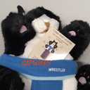 CATSUMO Cat Wrestling Glove Puppet Toy – Interactive Hand Mitt with Durable Protective Sleeve and Catnip  Play & Enrichment