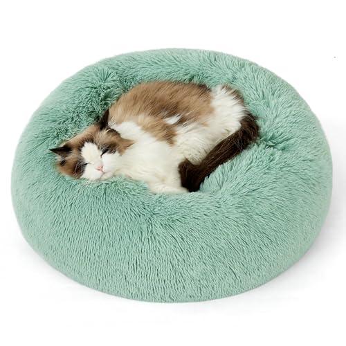 Bedsure Calming Cat Beds for Indoor Cats - Small Cat Bed Washable 20 inches, Anti-Slip Round Fluffy Plush Faux Fur Pet Bed, Fits up to 15 lbs Pets, Garden Green