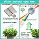 Stick-On Under Cabinet Grow Lights with Timer, High PPFD Sun-Like Full Spectrum LED Puck Light for Indoor Plants, Succulents, Mini Spotlight for Shelves, Terrarium & Display Case (3500K Warm White)