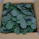 Cabilock 1 Set Eucalyptus Leaf Garland Leaves Artificial Eucalyptus Vine for Home and Wedding Decor Reusable Greenery Decoration Versatile Faux Plant for Table and Indoor Settings