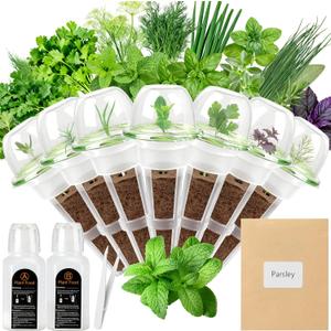 Gourmet Herb Seed Pod Kit - 12 Universal Indoor Herb Seed Pod Set with Parsley, Thyme, Mint, Cilantro, Dill, and Oregano - Compatibility with All Hydroponic Systems