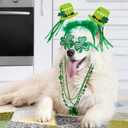 Winlyn Bulk St. Patrick's Day Novelty Jewelry Assortment St. Pat's Party Favors Supplies Shamrock Necklace Coins Head Bopper Bracelet Tattoo Mustaches Accessories for St. Patty's Day Irish Party Decor (Green)